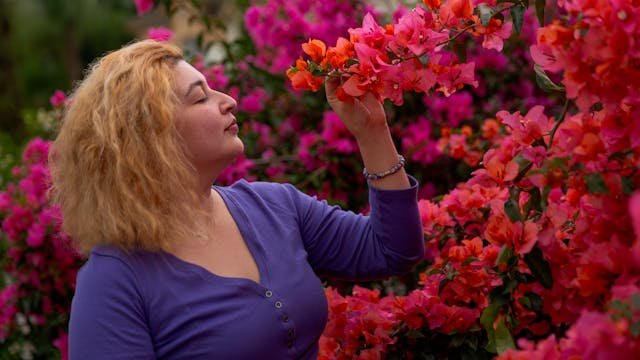 Finding Midlife Peace